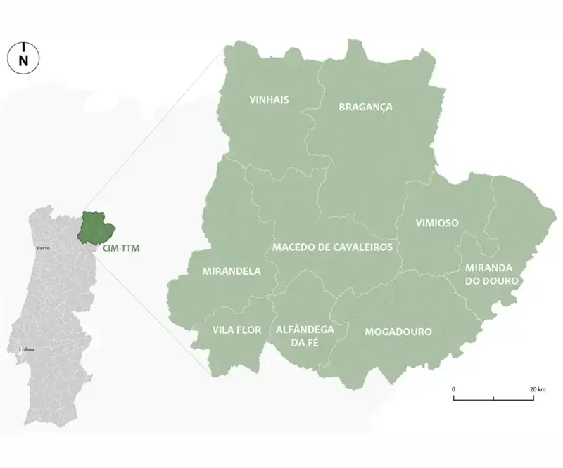 diagnostico-de-desenvolvimento1