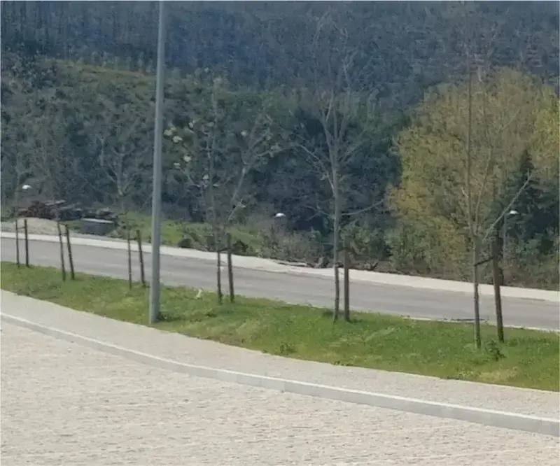 praia-fluvial-do-vimieiro3