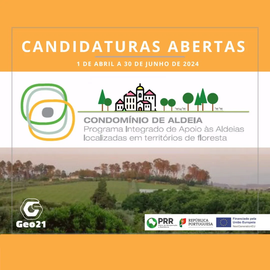 Encontram-se abertas as candidaturas ao Aviso N.º 08/C08-i01.01/2024 Condomínio de Aldeia: Programa Integrado de Apoio às Aldeias Localizadas em Territórios de Floresta.