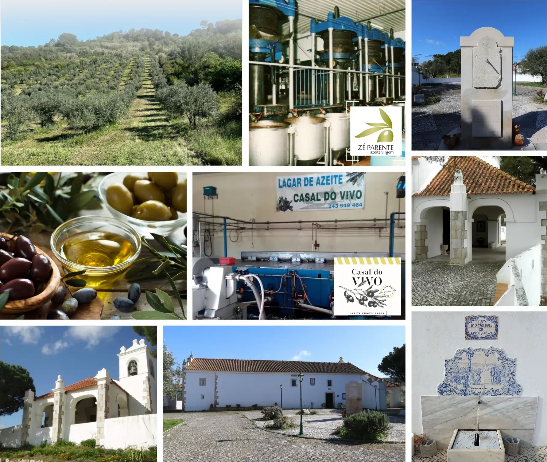 rota_do_azeite_geo21_1 (2)