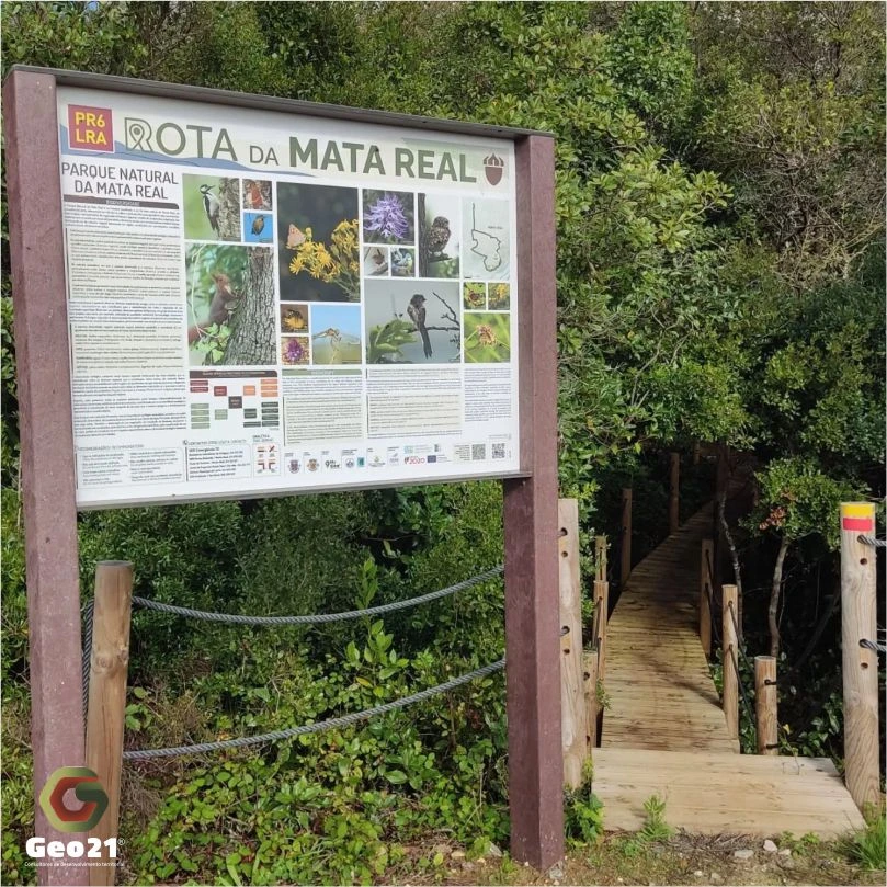 rota da mata real leiria monte real percurso pedestre geo21 caminhada