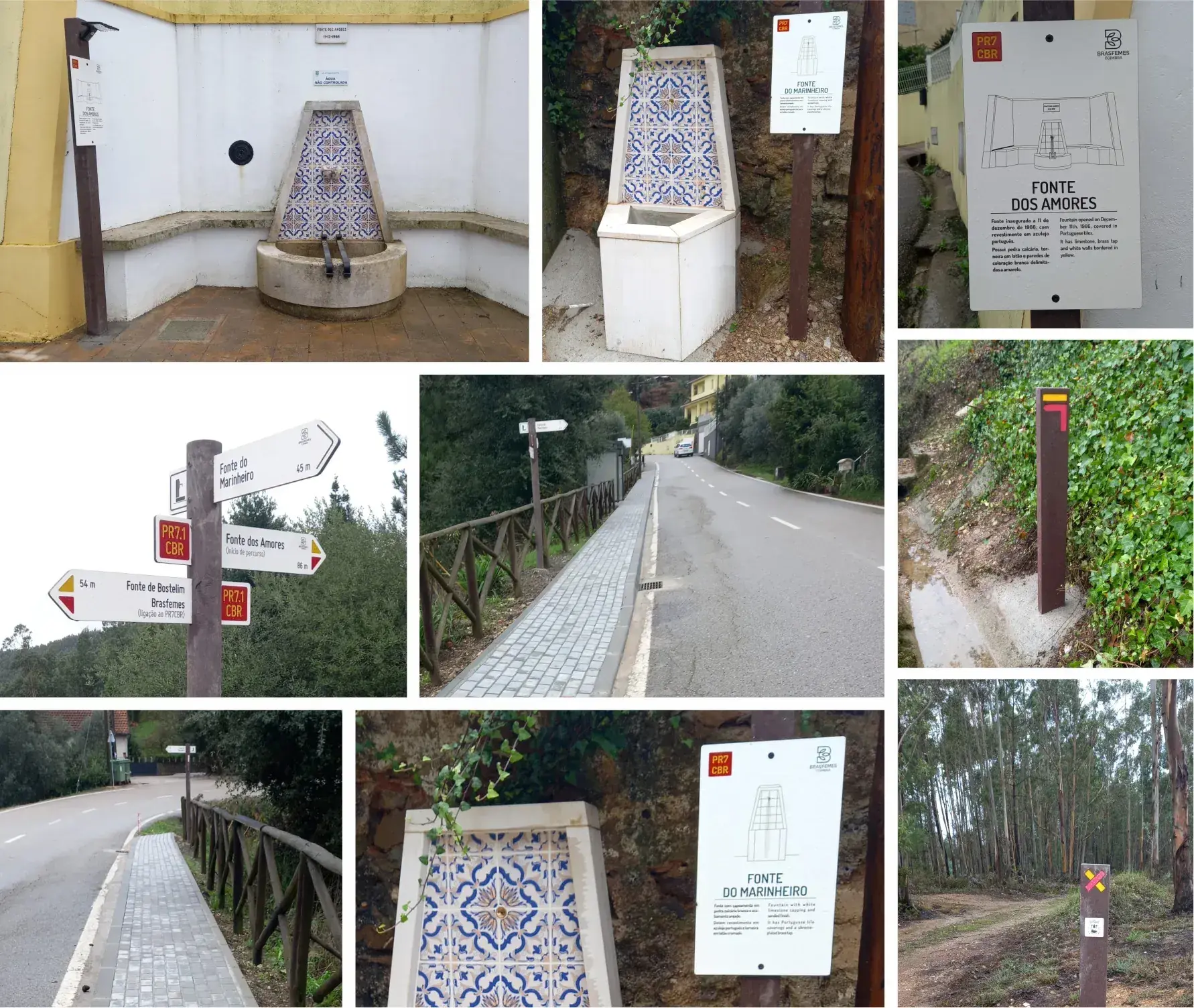 geo21 design grafico design territorial identidade grafica logotipo