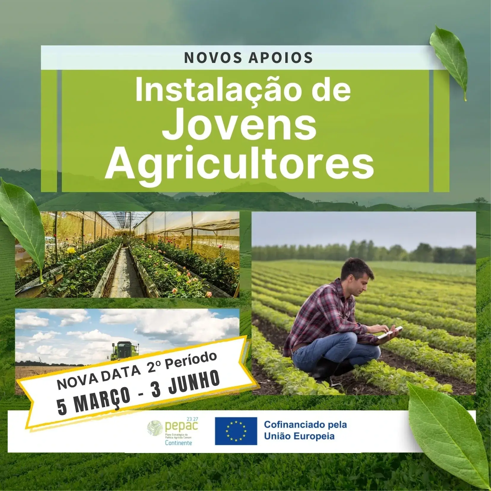 Apoios para Jovens Agricultores | CANDIDATURAS ABERTAS | Portaria n.º 303-A/2024/1