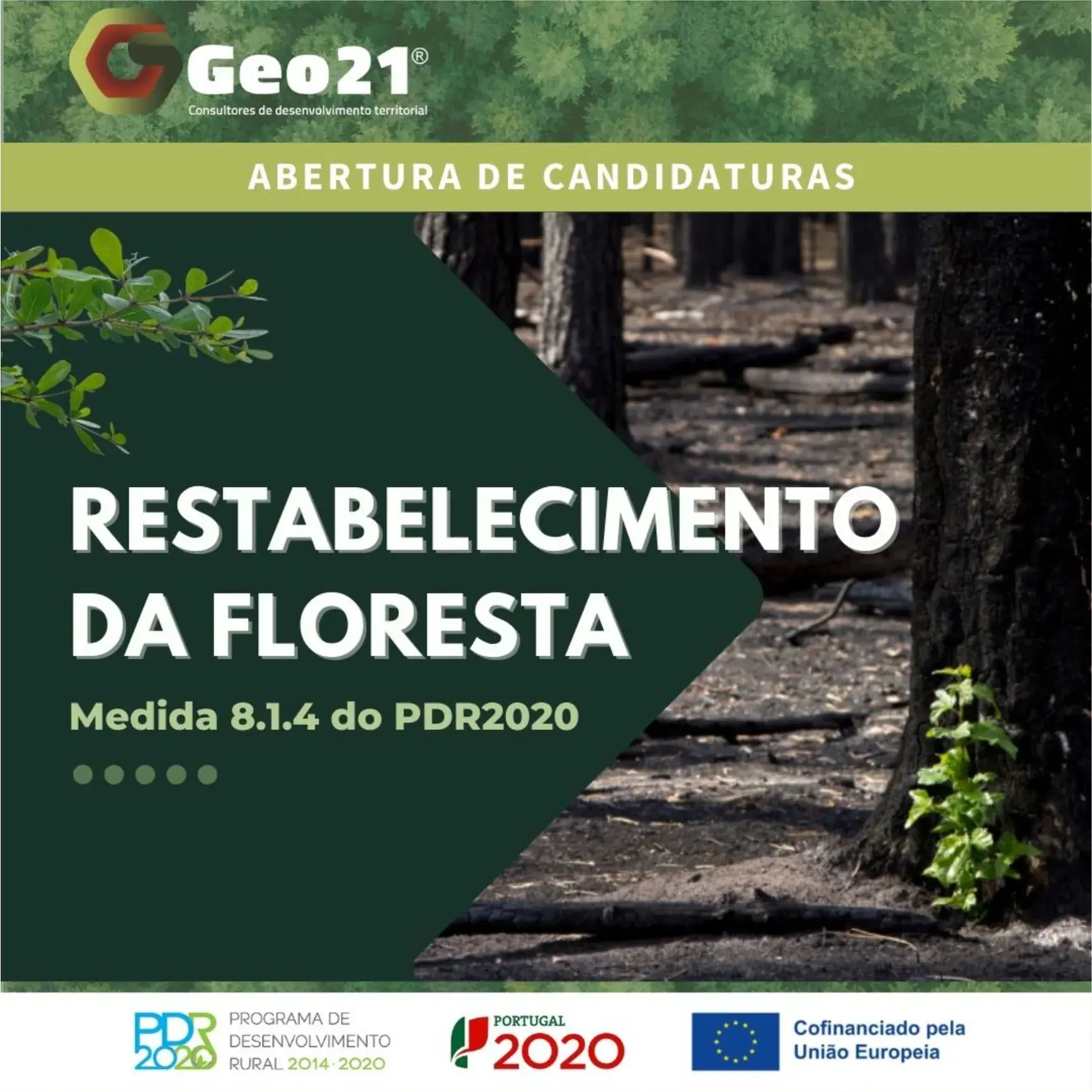 Medida 8.1.4 do PDR2020: Restabelecimento da Floresta