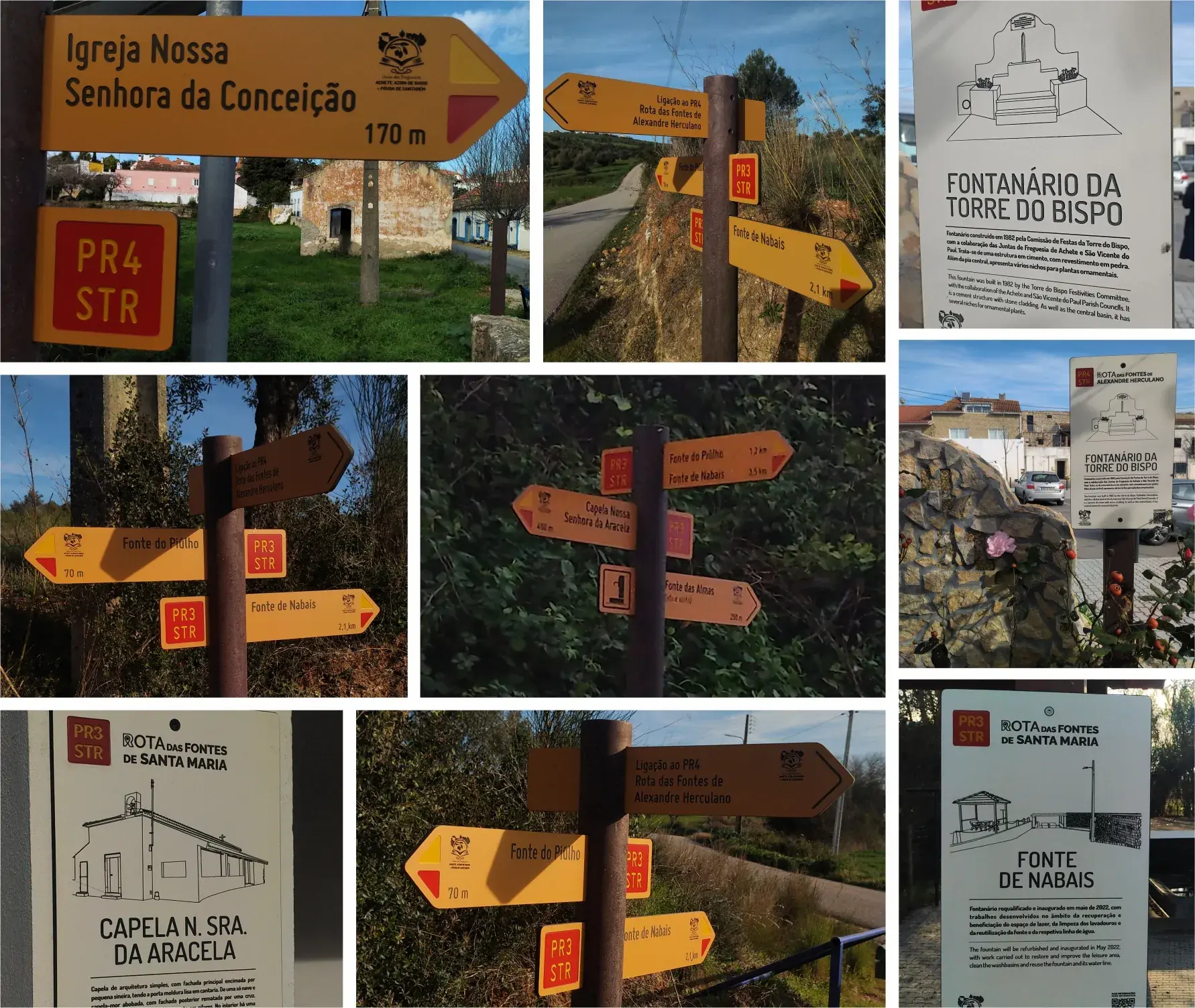 geo21 design grafico design territorial identidade grafica logotipo