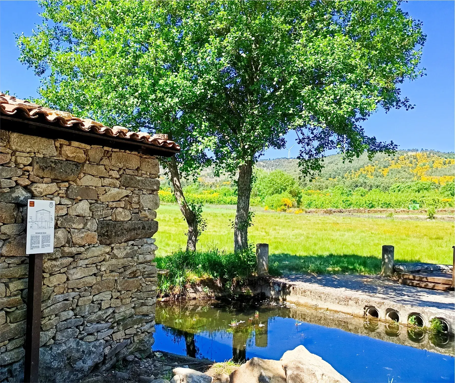 geo21 design grafico design territorial identidade grafica logotipo