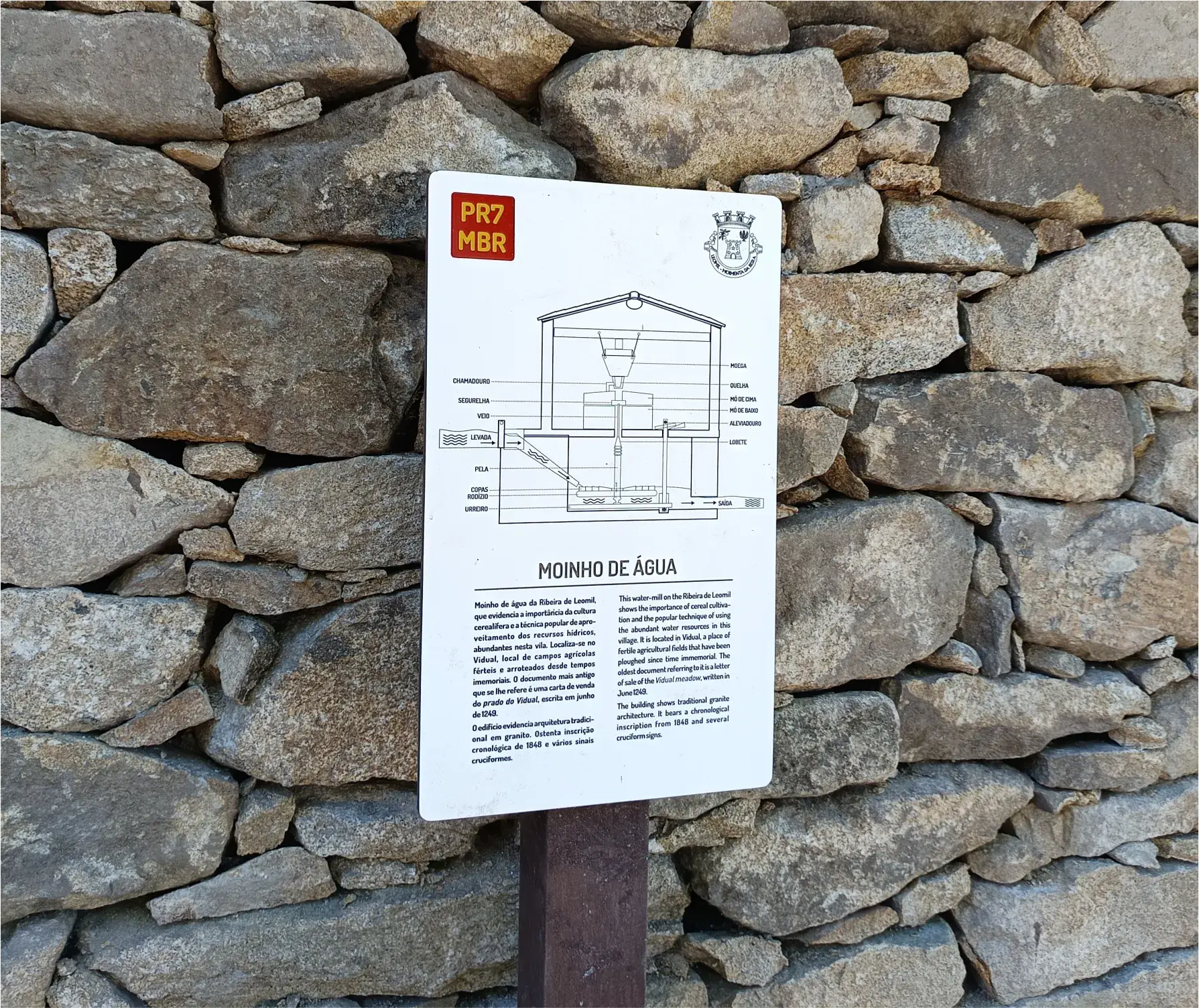 geo21 design grafico design territorial identidade grafica logotipo