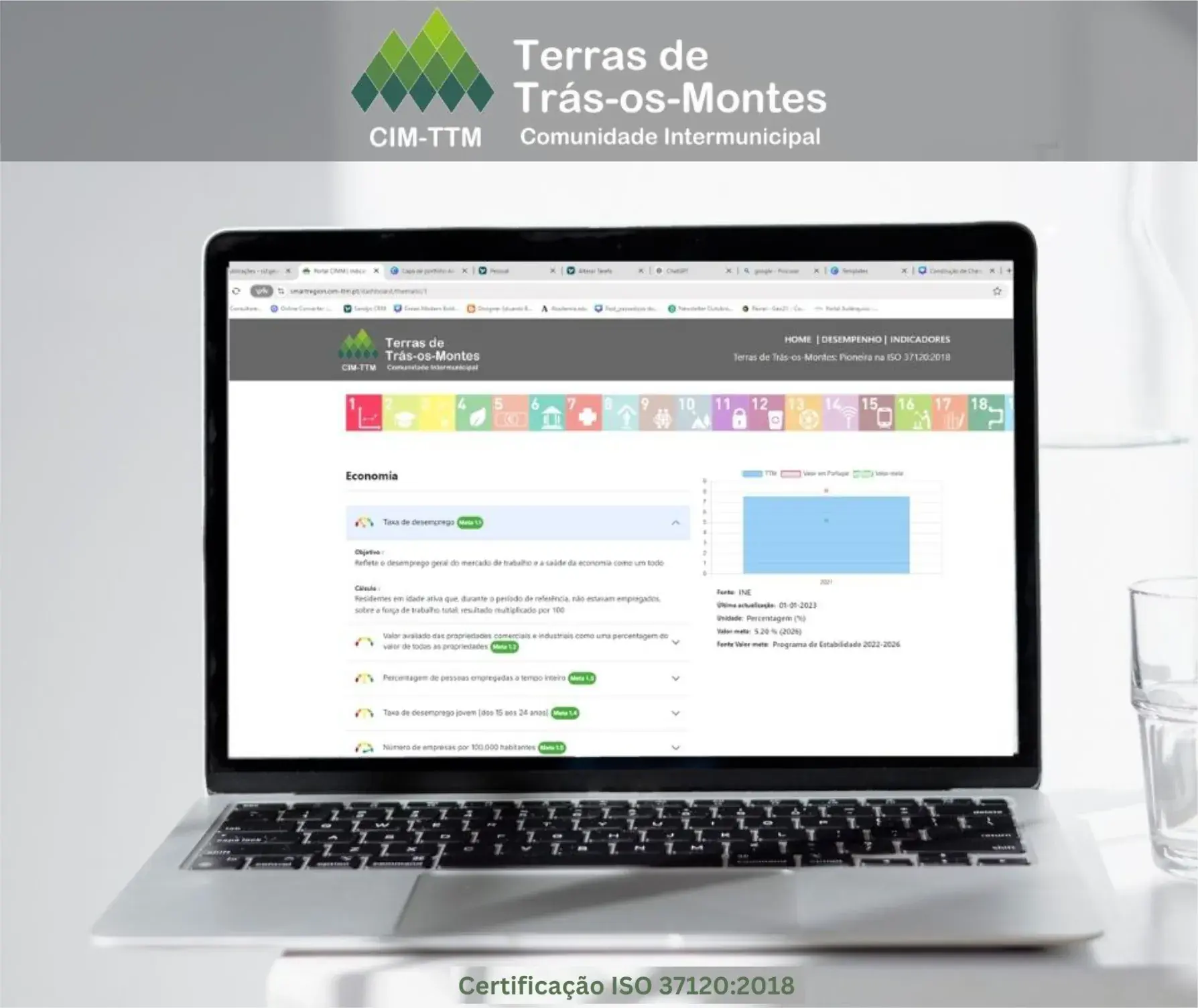 design grafico design territorial web design