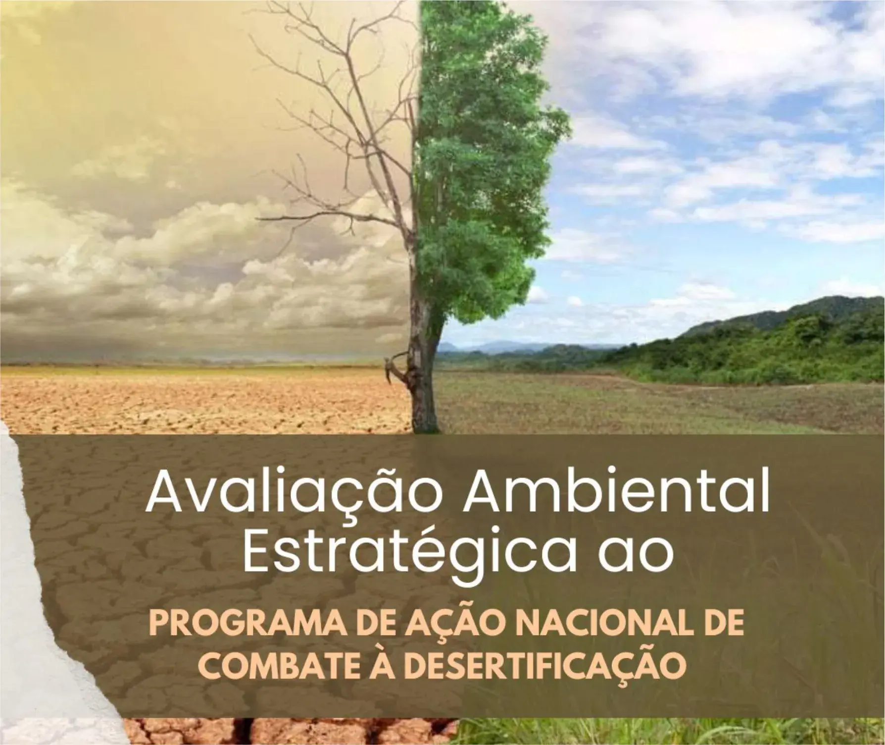 avaliação_ambiental_estratégica