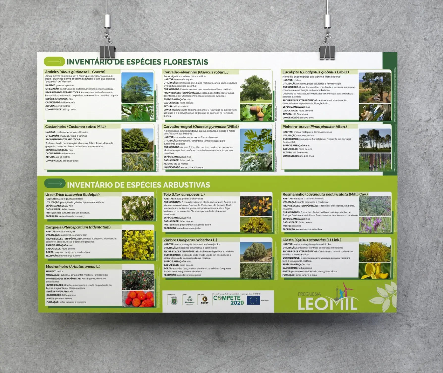 design grafico design territorial