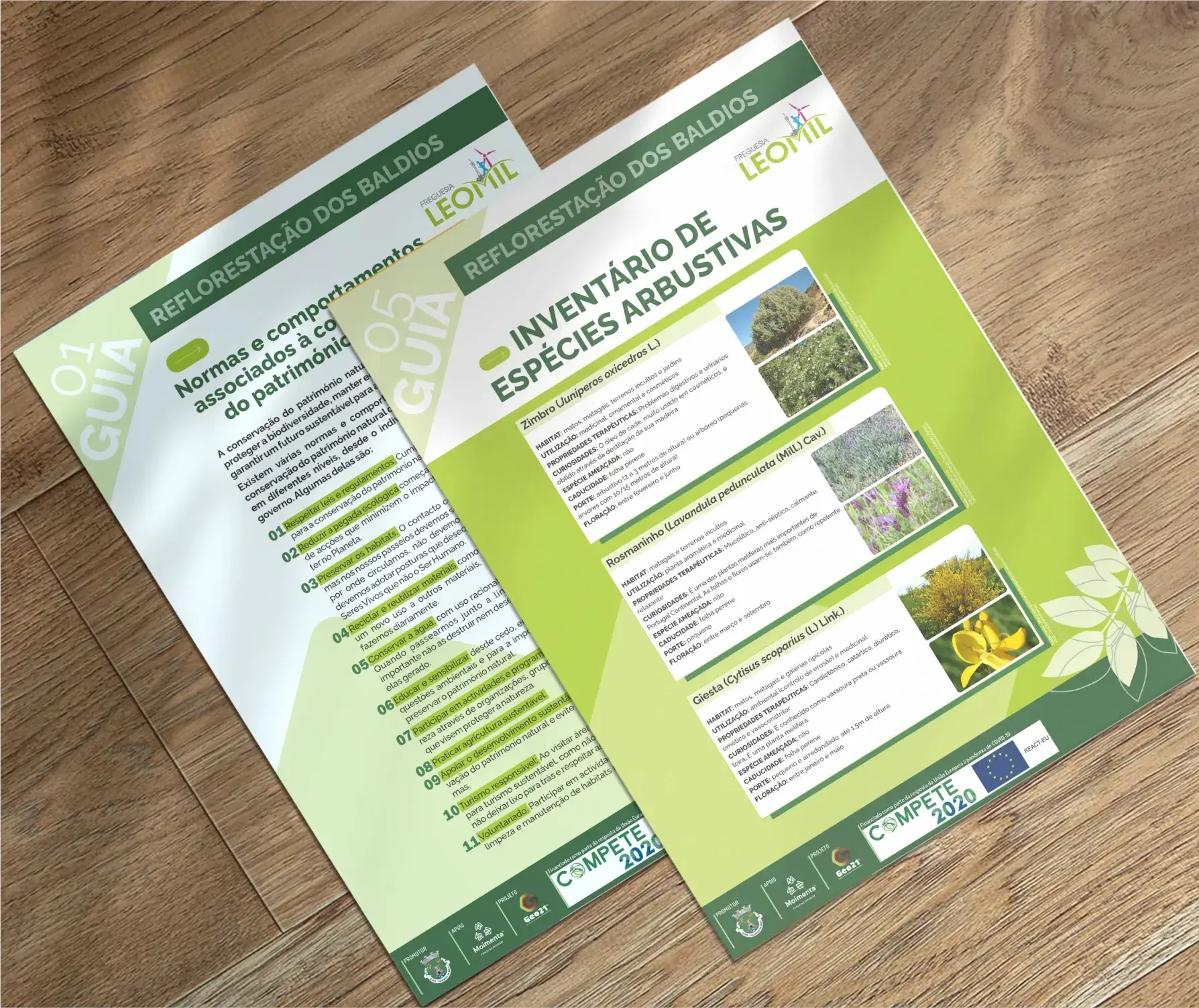 design grafico design territorial