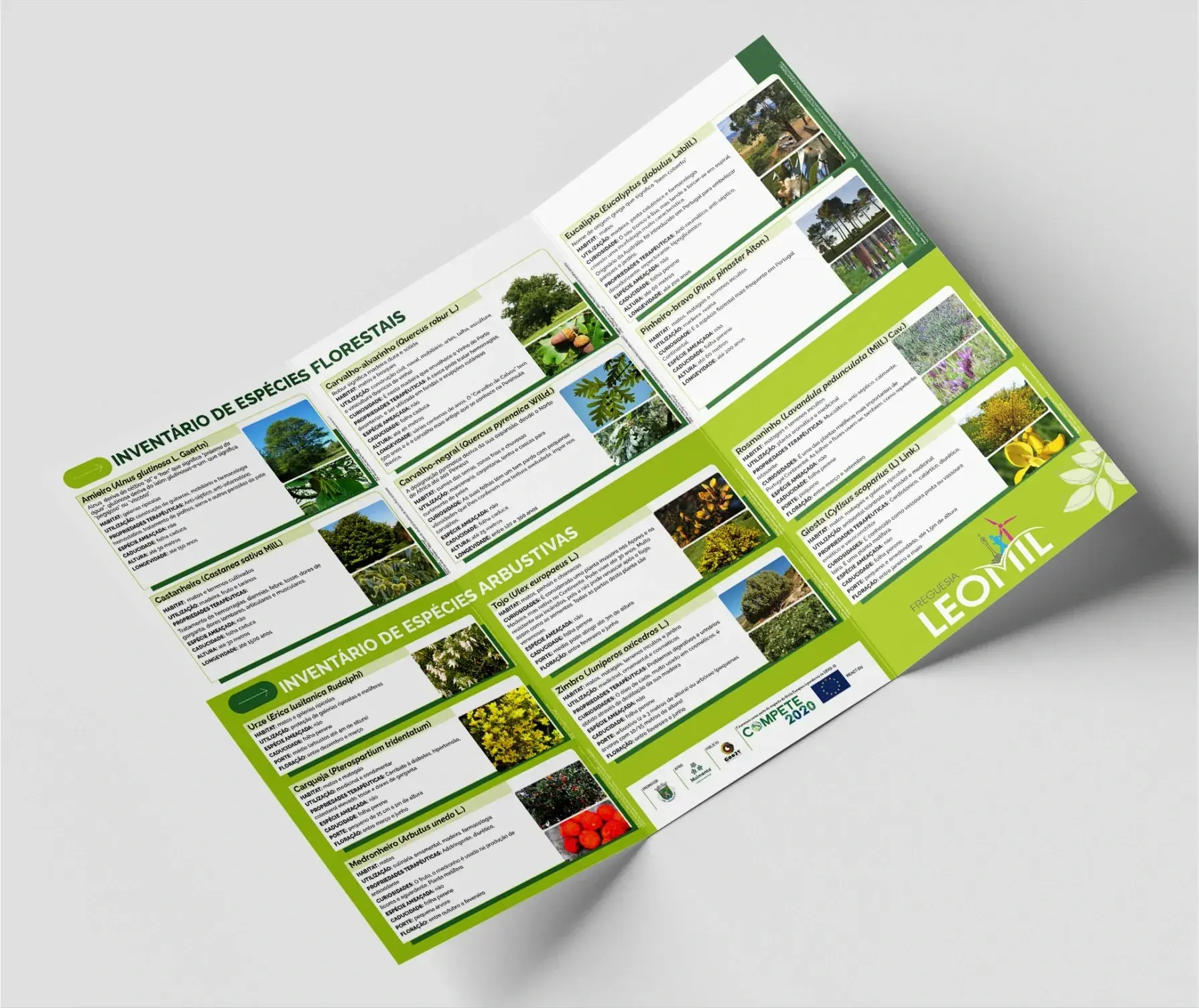 design grafico design territorial