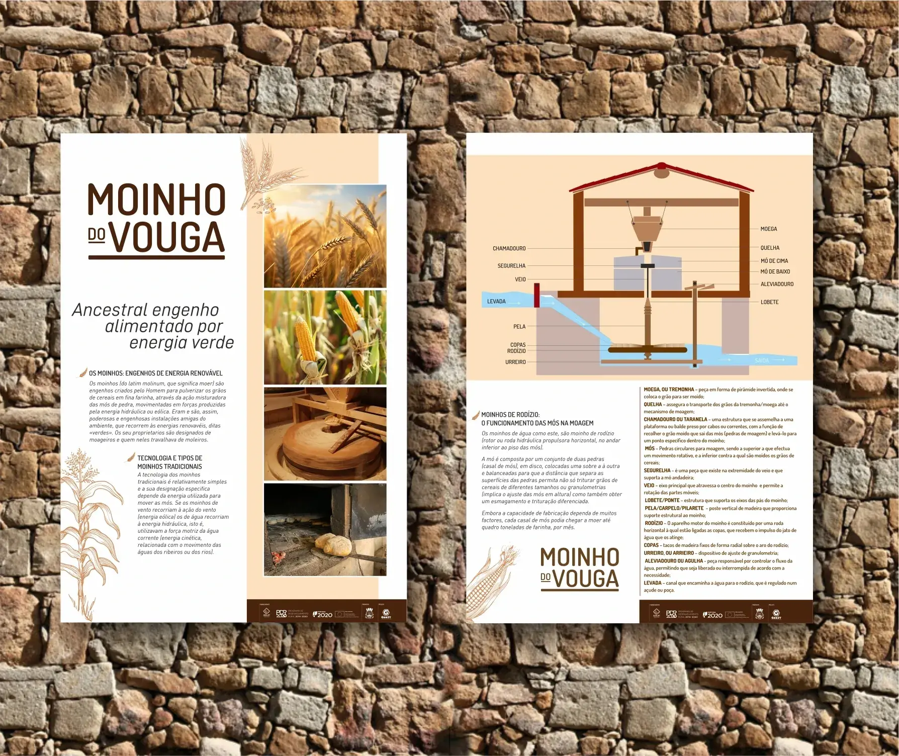 design grafico design territorial