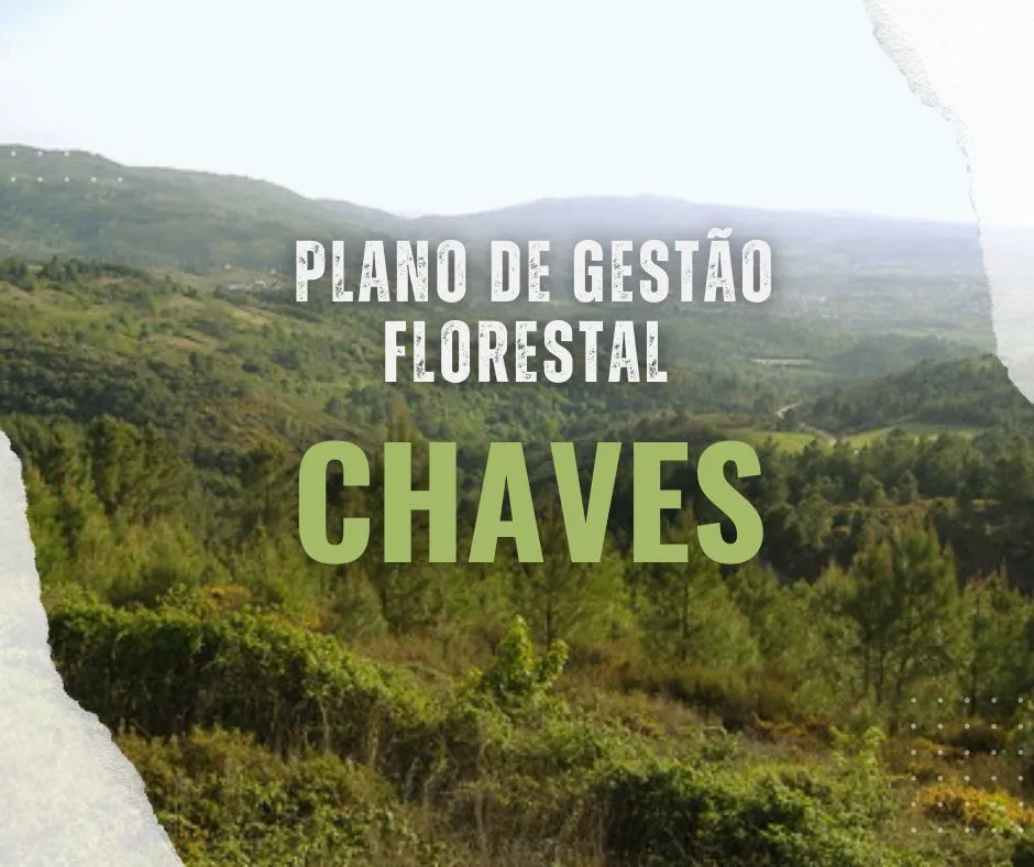 plano_gestao_floestal_chaves_geo21