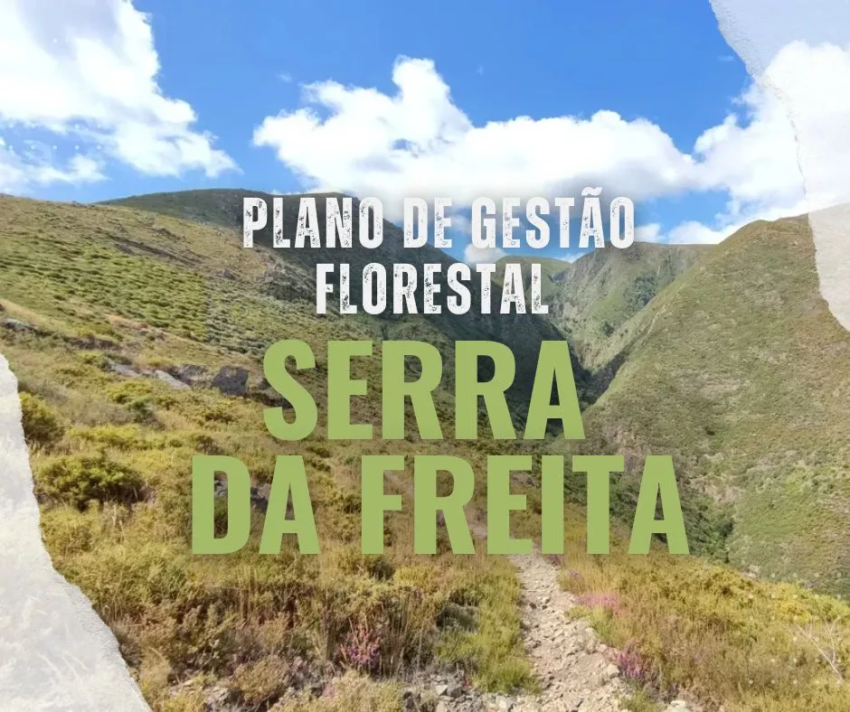 plano_gestao_florestal_serra_da_freita_geo21