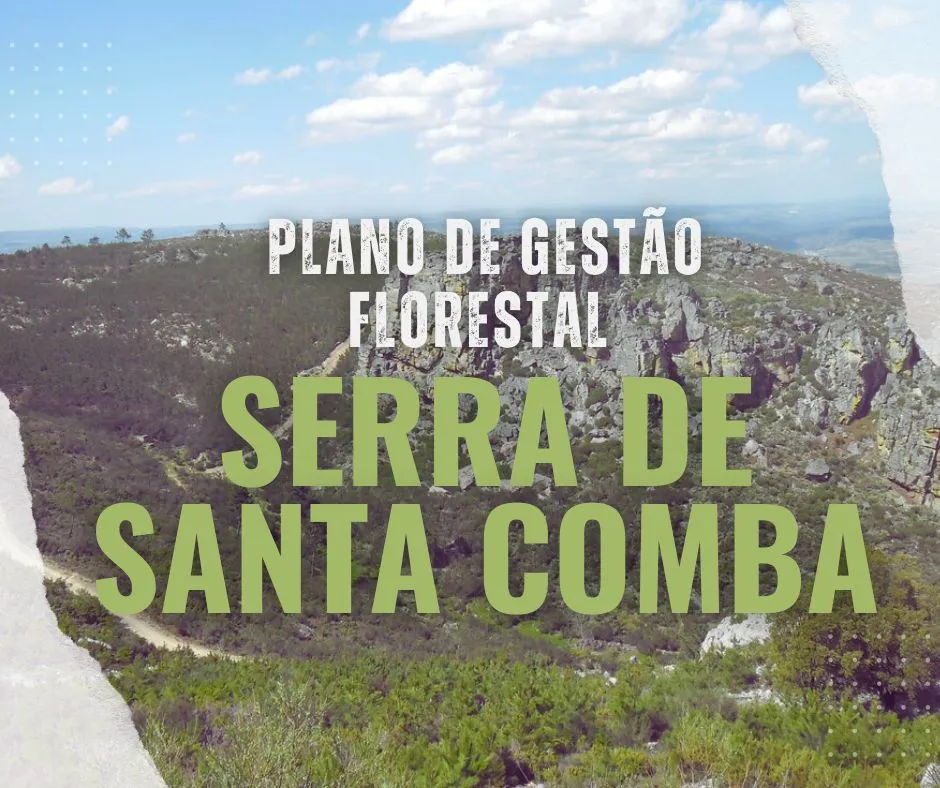 plano_gestão_florestal_serra_santa_comba