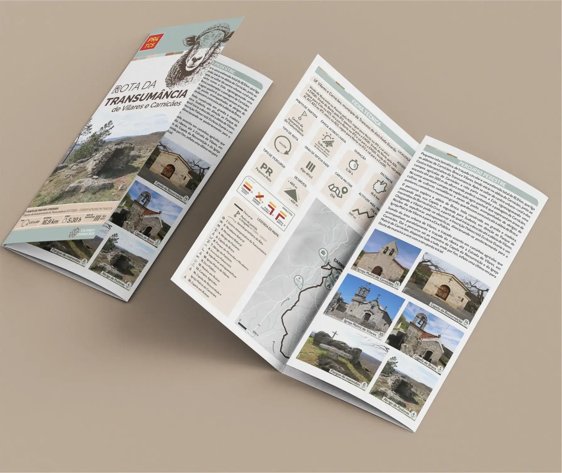 design grafico design territorial