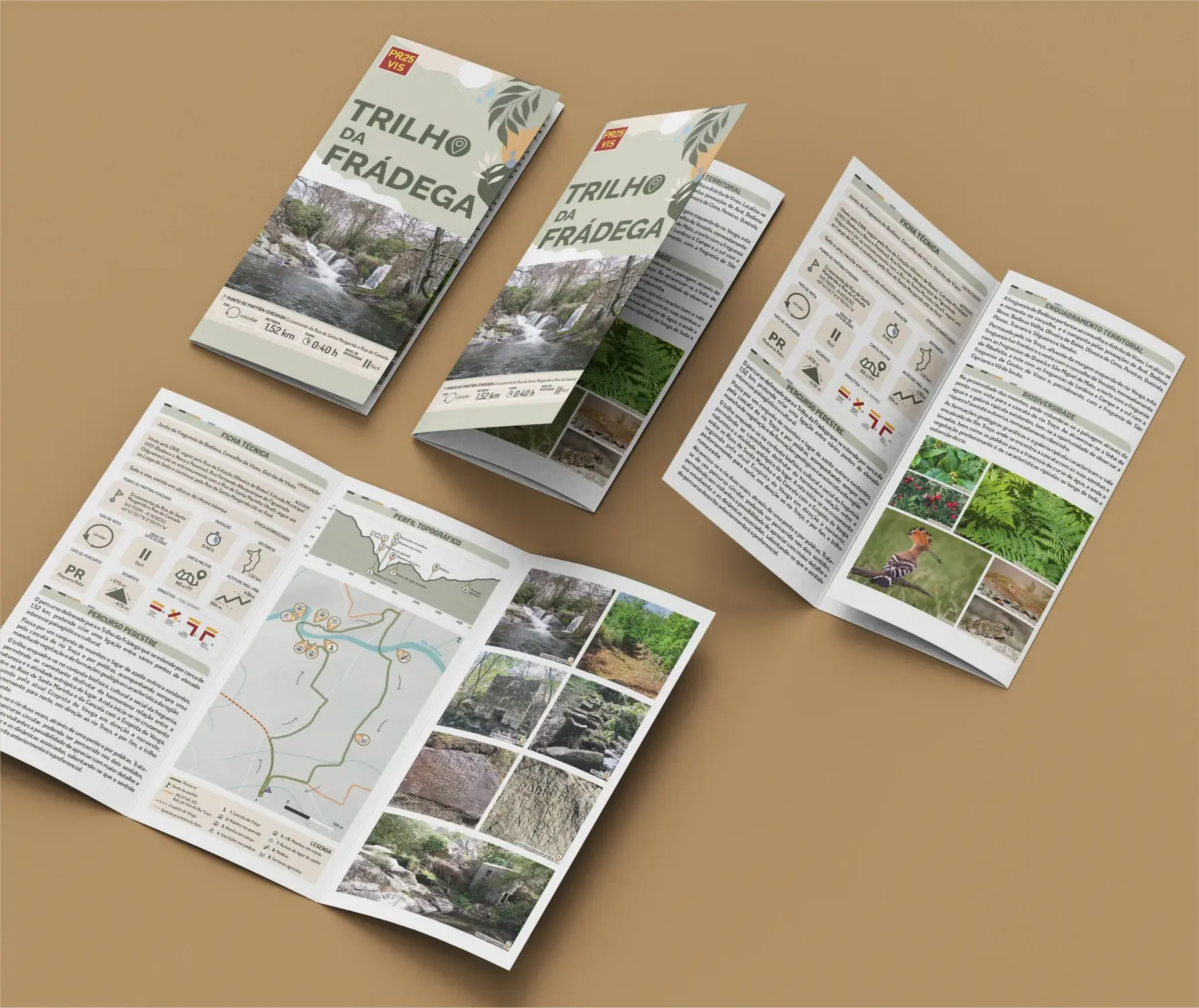 design grafico design territorial identidade grafica logotipo