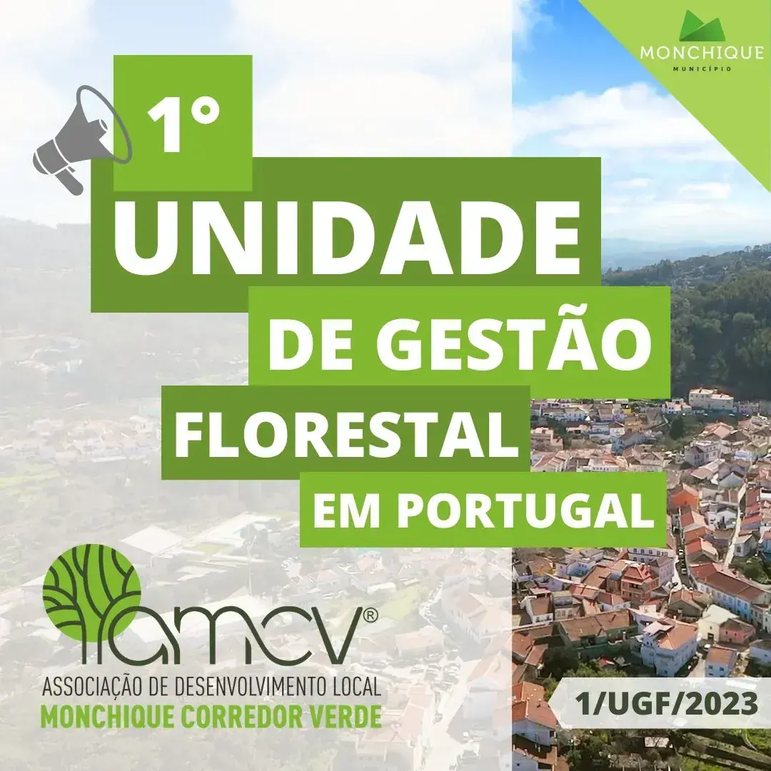 1 unidade de gestão florestal em portugal