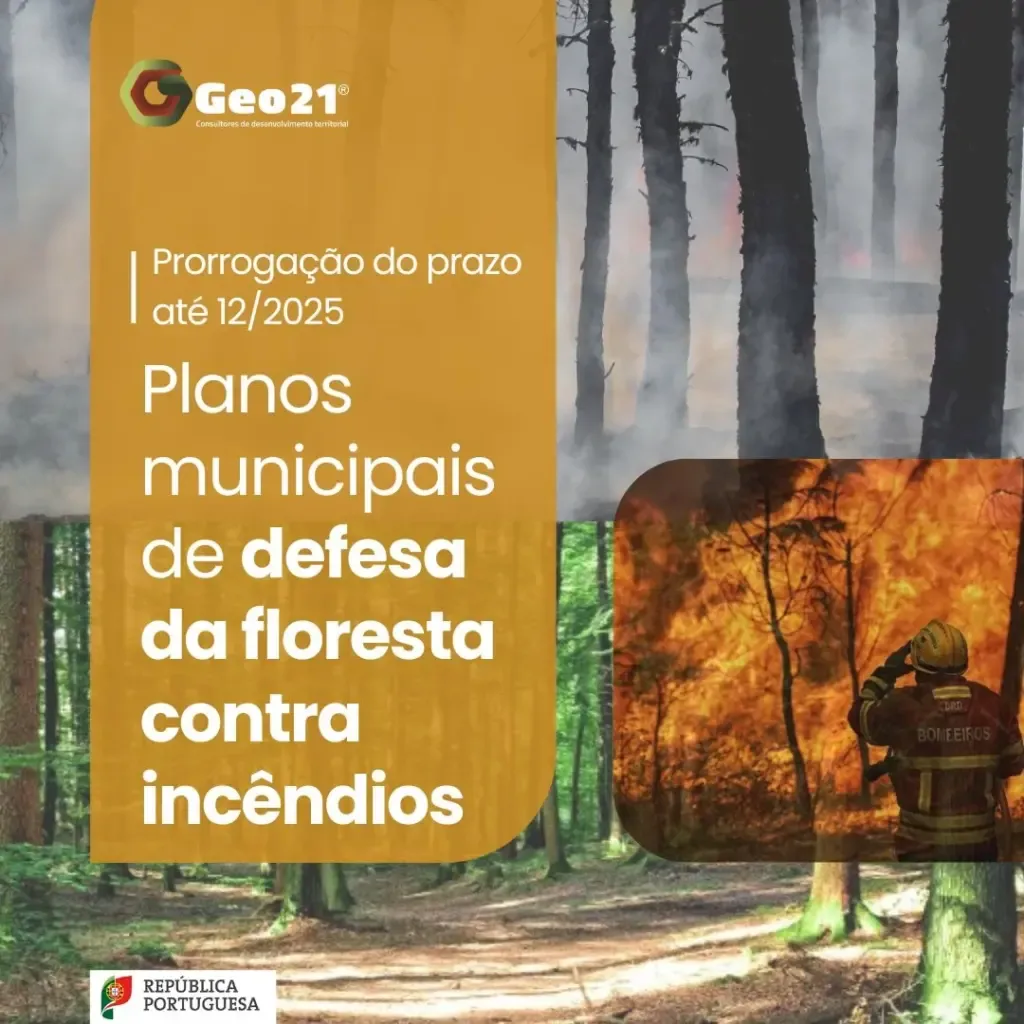 plano municipal de floresta contra incêndios