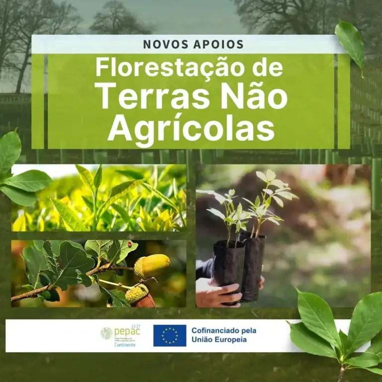 C.3.2.1_Florestação_de_Terras_Não_Agrícolas apoio pepac geo21