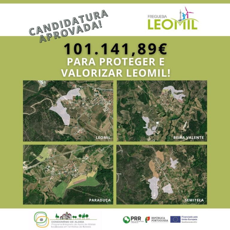 Programa Condomínio de Aldeia Leomil moimenta da beira
