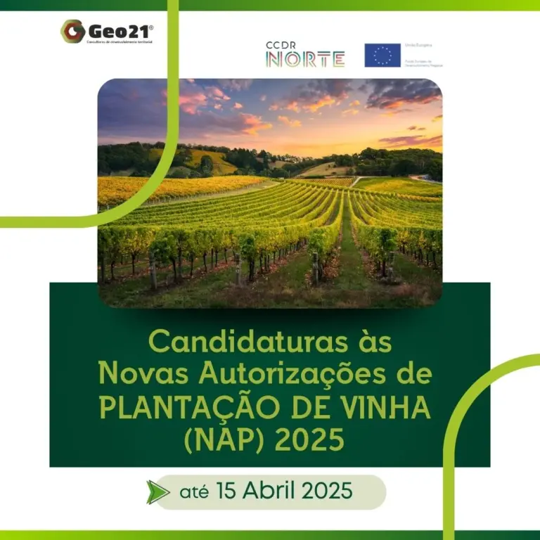candidaturas às movas autorizações de plantação de vinha 2025 geo21