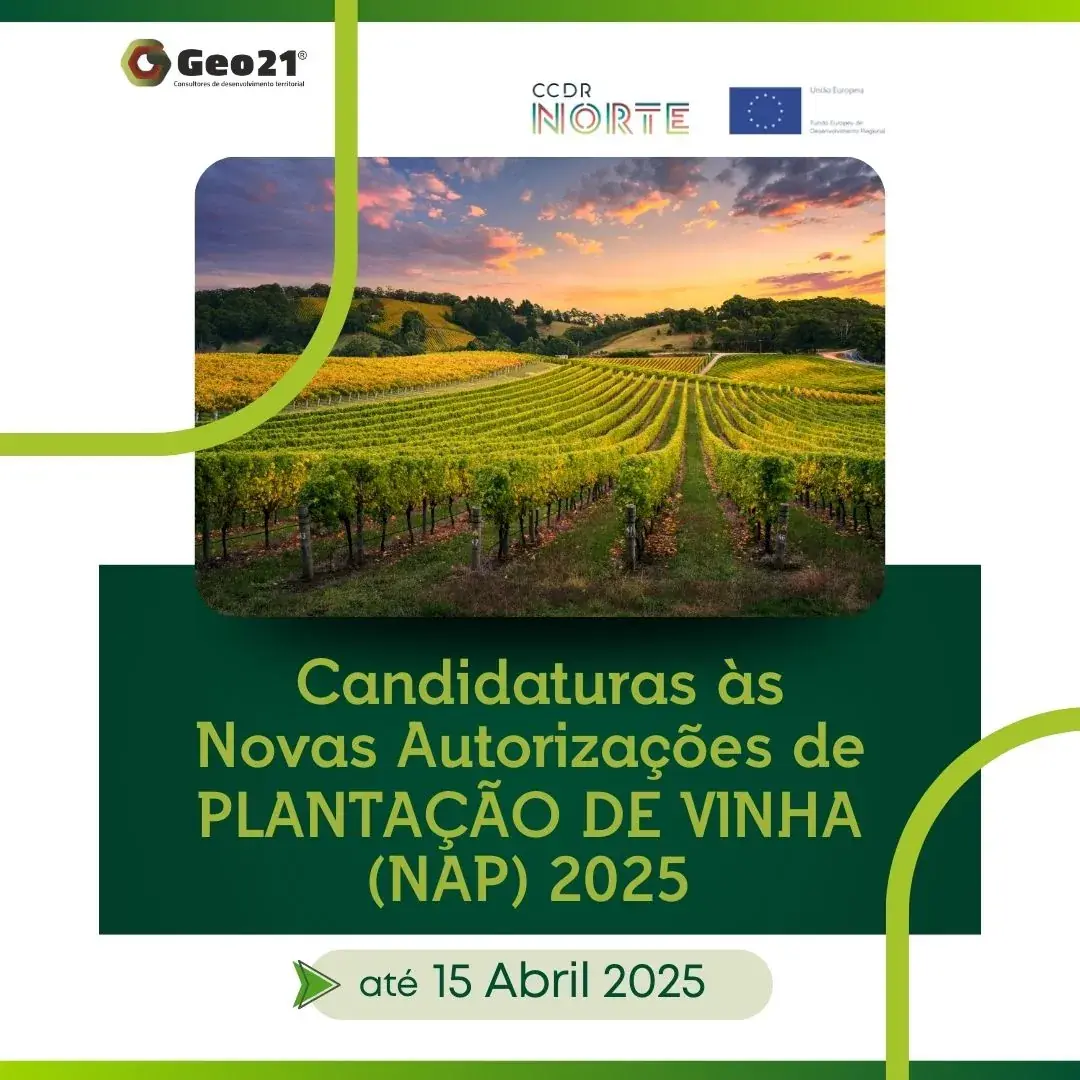 Candidaturas às Novas Autorizações de Plantação de Vinha (NAP) 2025 