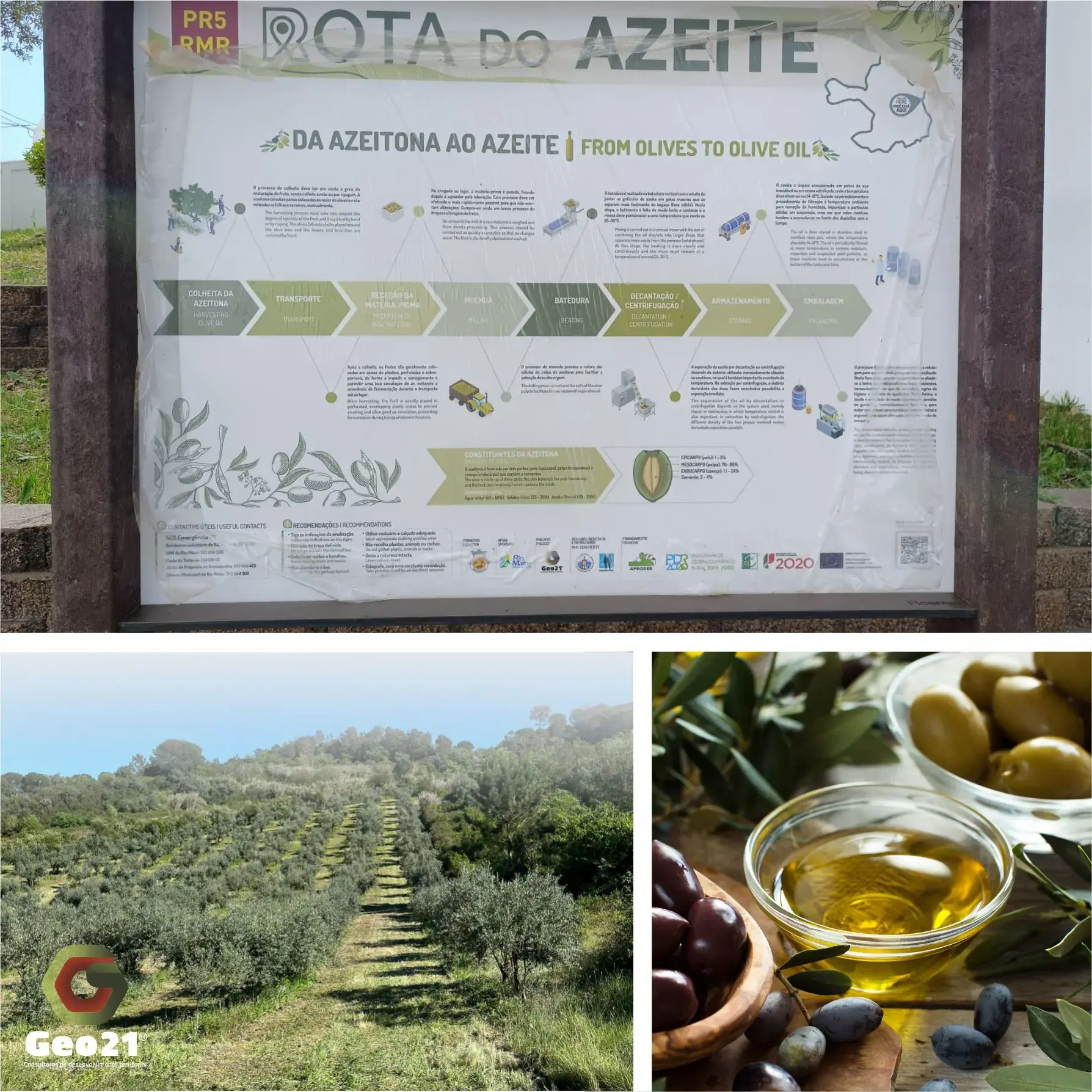 Vistoria para a homologação da PR5-RMR | Rota do Azeite em Arrouquelas