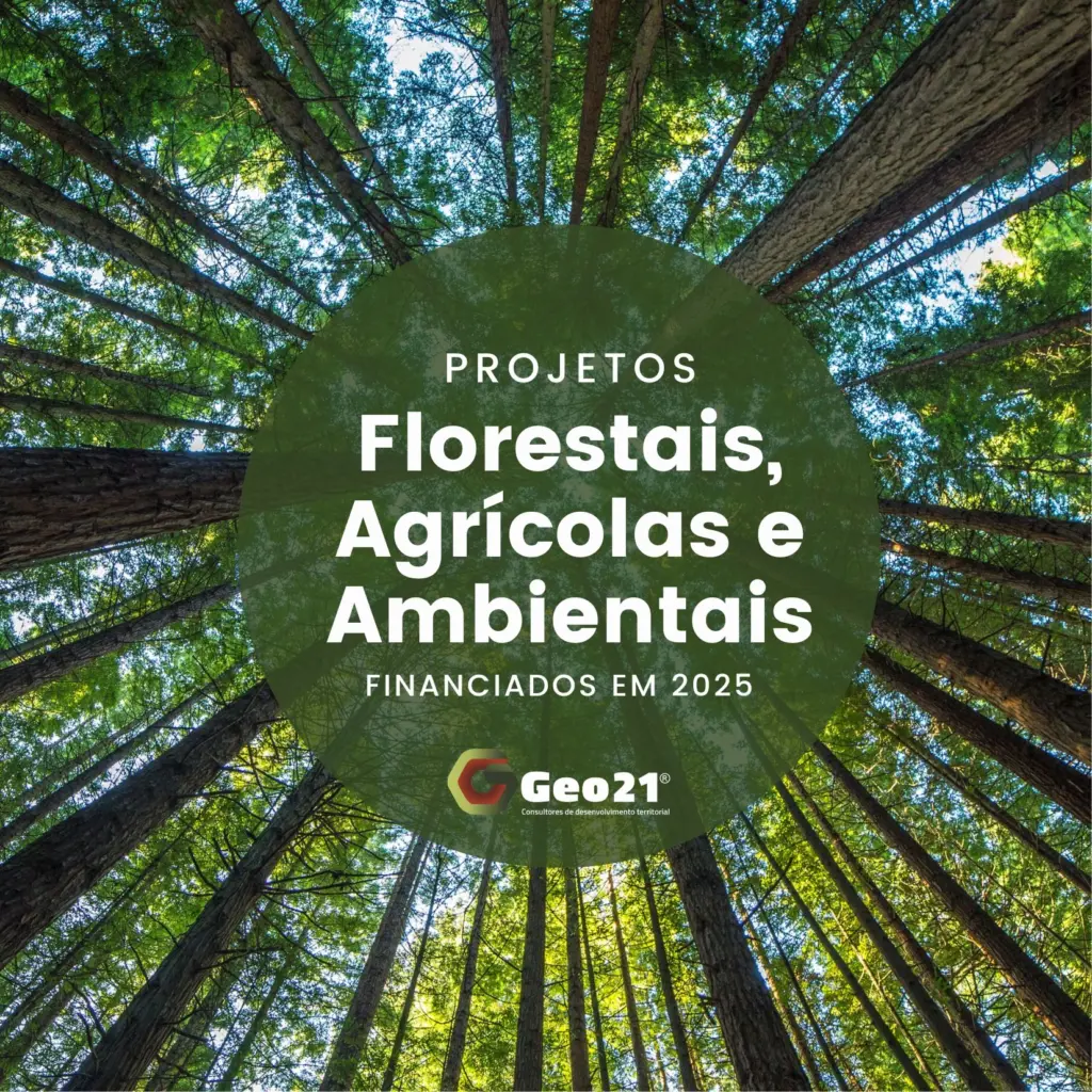 Projetos Florestais, Agrícolas e Ambientais Financiados em 2025 Geo21 apoios financiamentos candidaturas