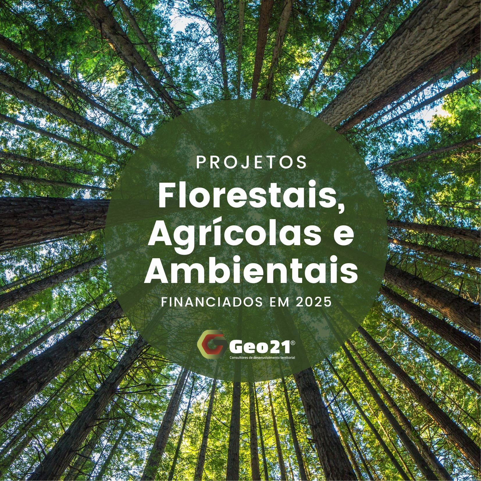 Projetos Florestais, Agrícolas e Ambientais Financiados em 2025 Geo21 apoios financiamentos candidaturas