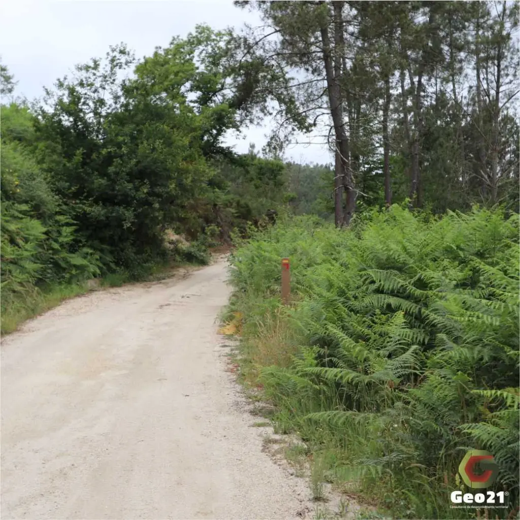 percurso pedestre rota geo21 rota da fonte santa calde viseu