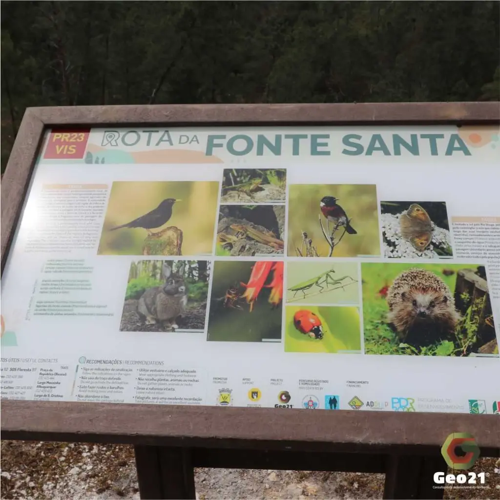 percurso pedestre rota geo21 rota da fonte santa calde viseu