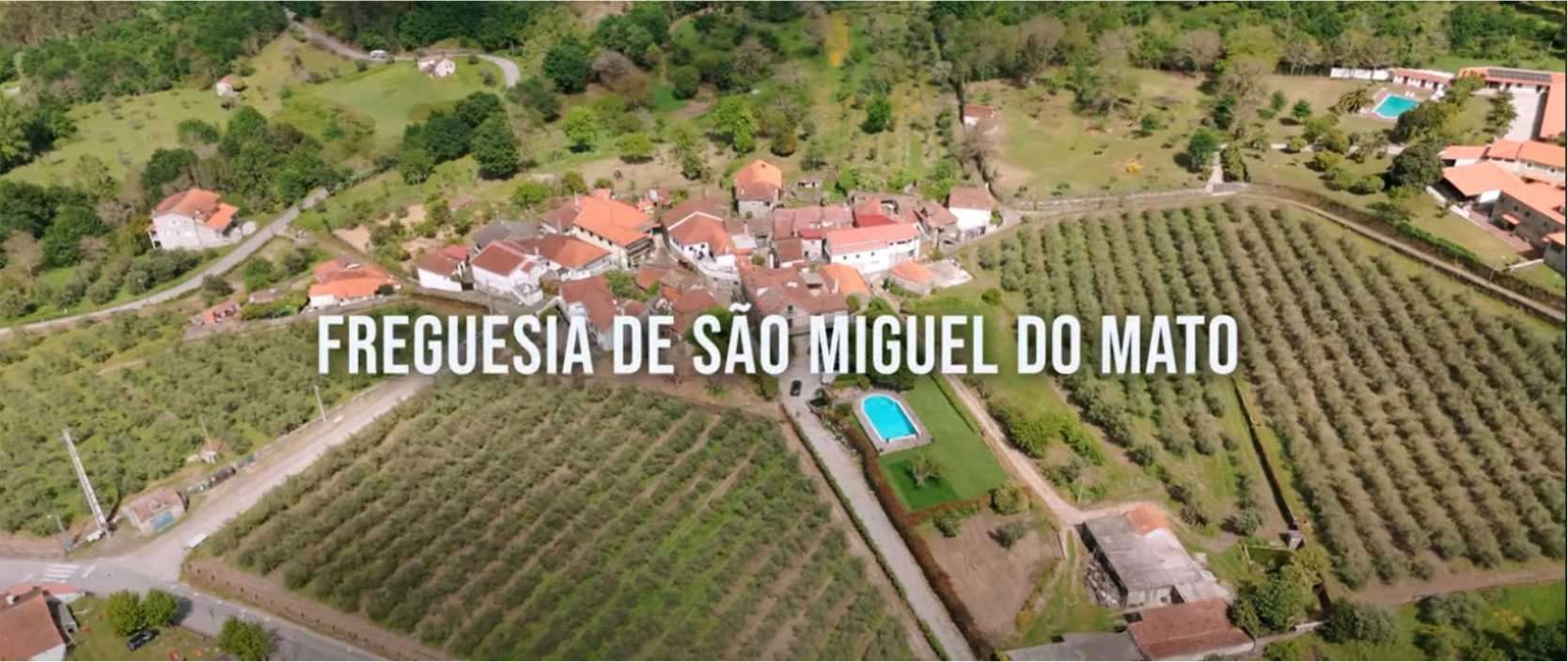 Freguesia de São Miguel do Mato