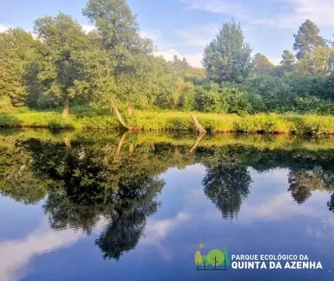 parque ecológico quinta da azenha design biologia arquitetura paisagismo geo21