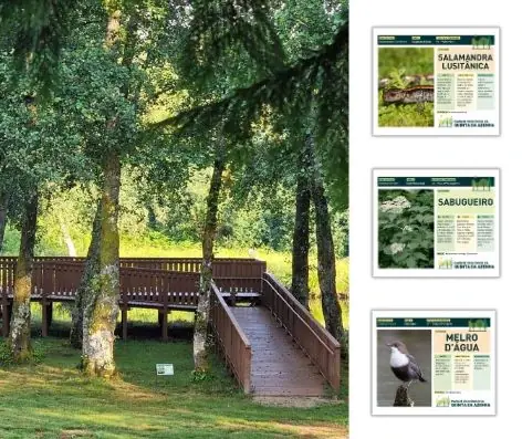 parque ecológico quinta da azenha design biologia arquitetura paisagismo geo21