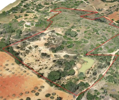 plano de promenor do Geraldo