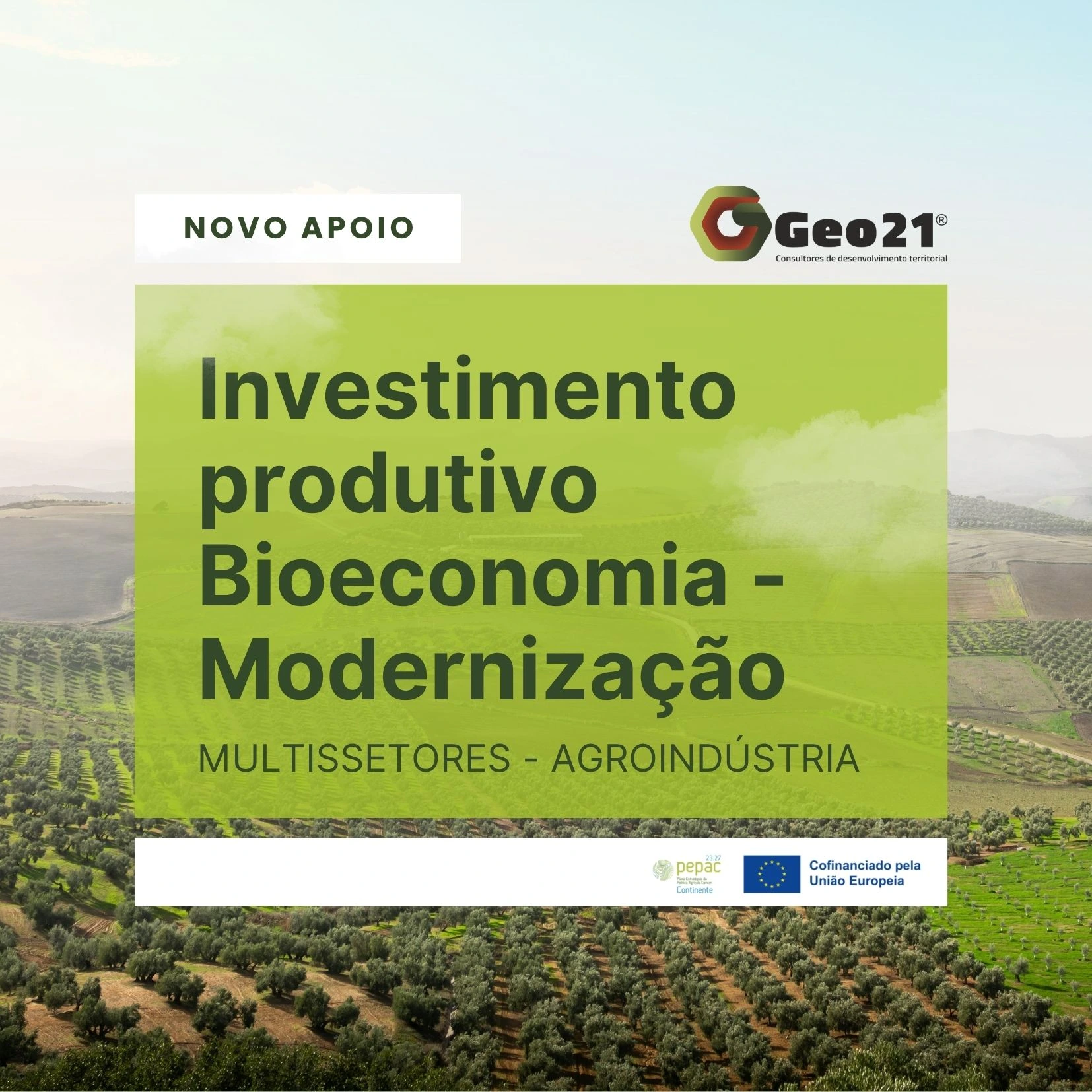 Novo Apoio à Bioeconomia e Modernização Agroindustrial: Candidaturas Abertas até 30 de Dezembro de 2025