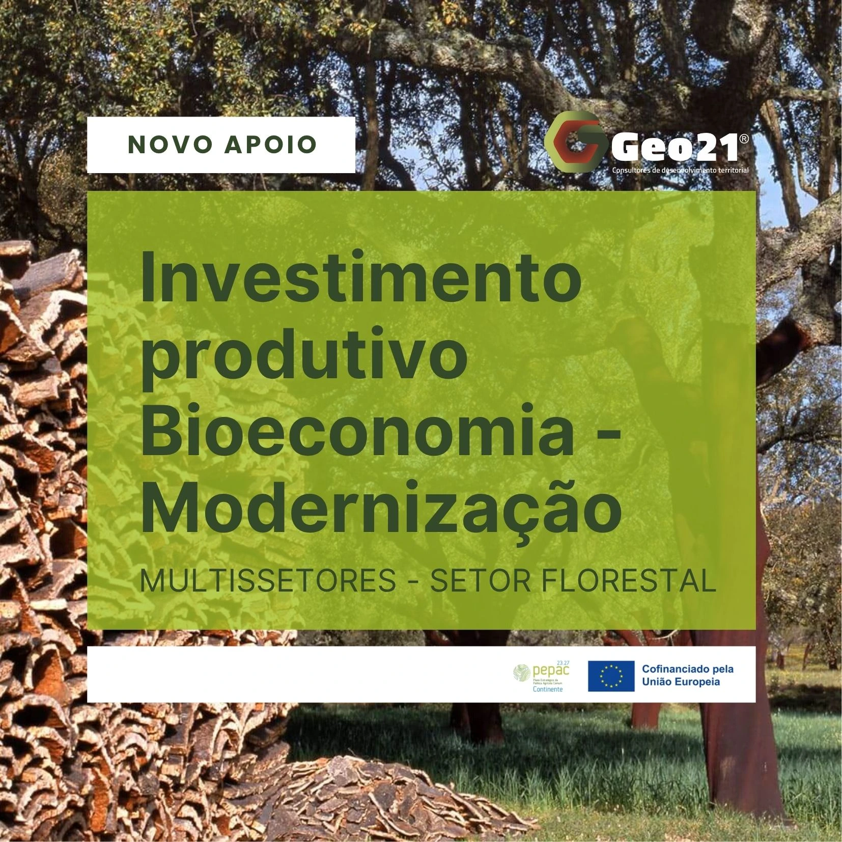 Novo Apoio – Investimento Produtivo na Bioeconomia e Modernização do Setor Florestal 