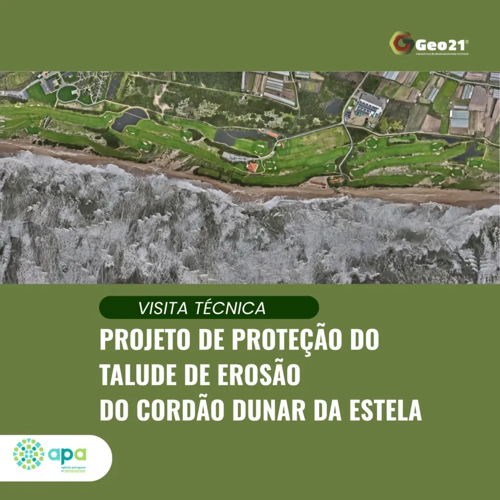 Cordão dunar Estela Geo21