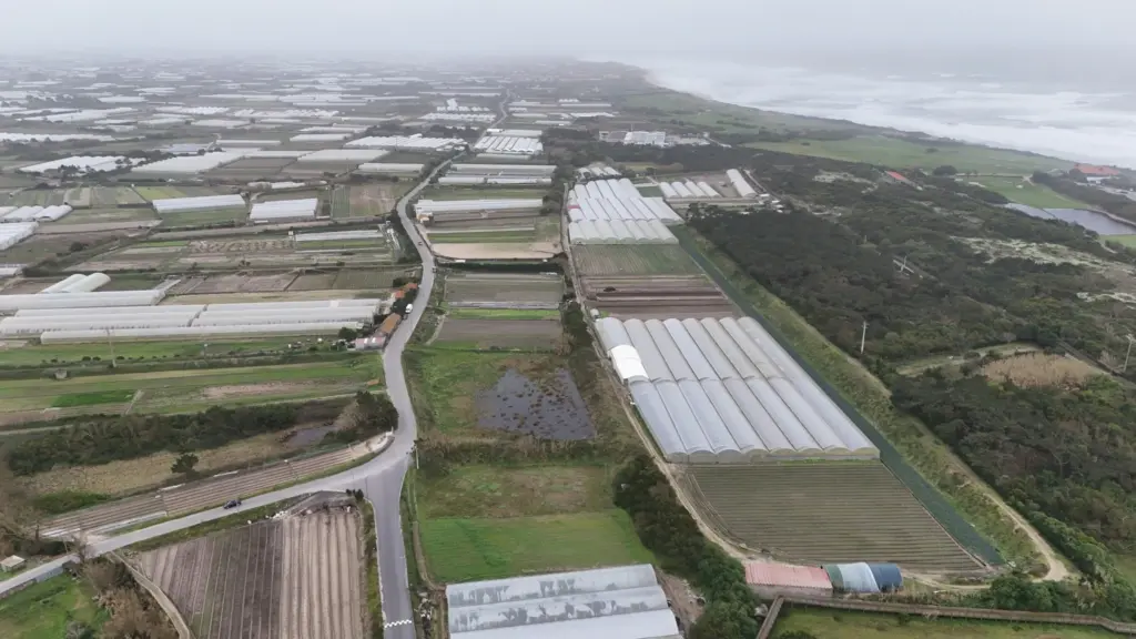 Cordão dunar Estela Geo21