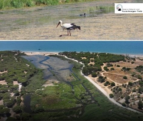 foz da almargem e trafal