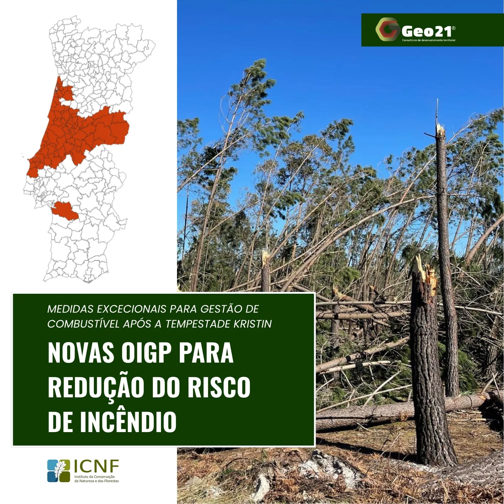 OIGP no pós-tempestade Kristin: novas medidas para gestão do território 