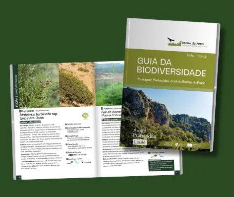 guias da biodiversidade de loulé
