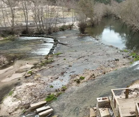 recuperação de poldras no rio vouga