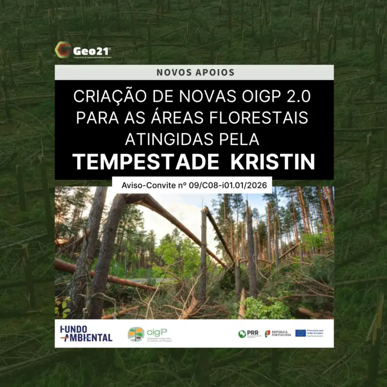 CRIAÇÃO DE NOVAS OIGP 2.0 PARA AS ÁREAS FLORESTAIS ATINGIDAS PELA TEMPESTADE KRISTIN